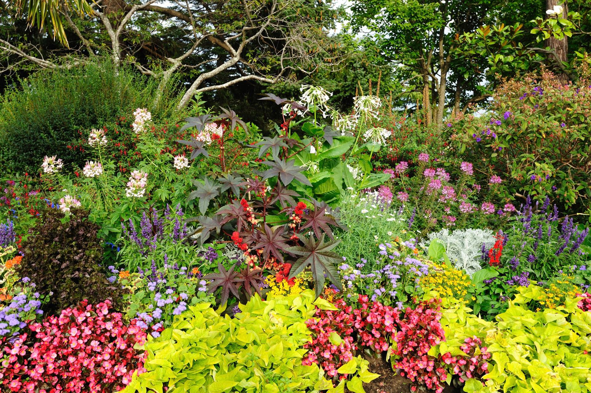 Papermoon Fototapete »GARTEN-BÄUME BLUMEN PFLANZEN PARK STEINE WALD BLÜTEN« von Papermoon