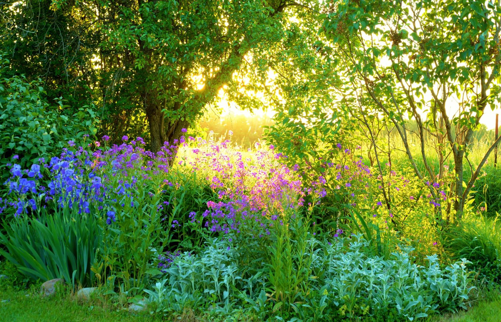 Papermoon Fototapete »GARTEN-BLUMEN BÄUME PFLANZEN PARK STEINE BLÜTEN WALD« von Papermoon