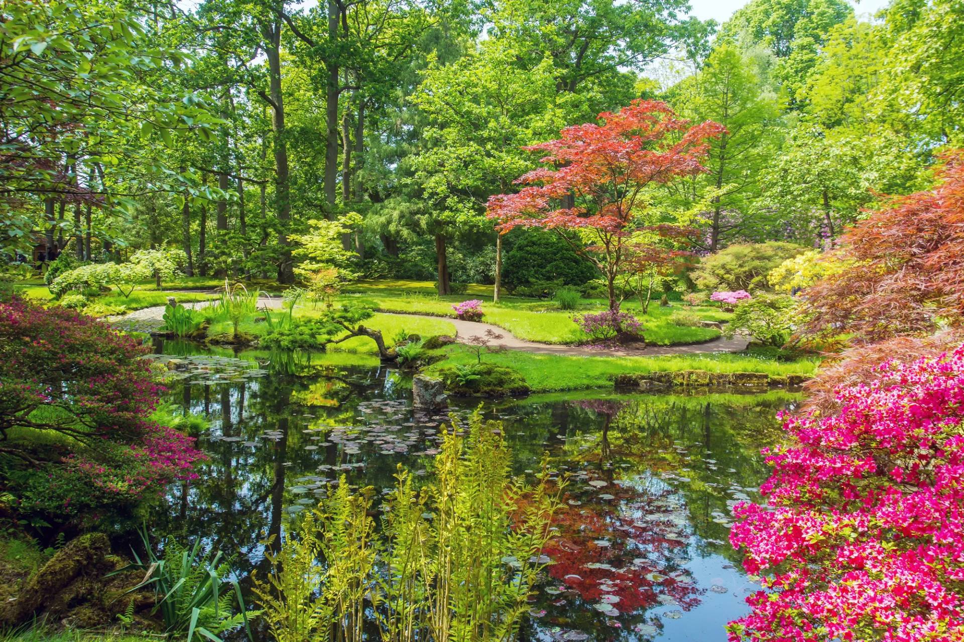 Papermoon Fototapete »GARTEN-BLUMEN BÄUME PFLANZEN STEINE WALD PARK BLÜTEN« von Papermoon