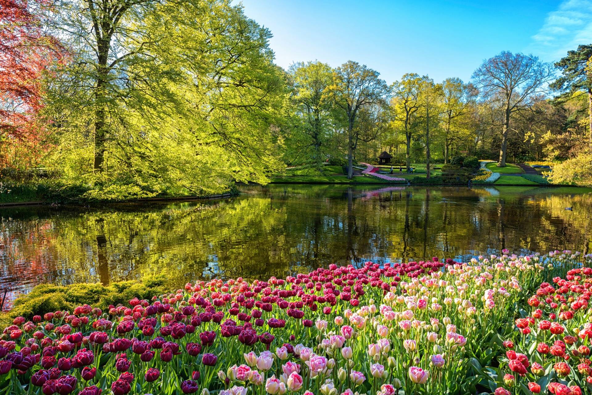 Papermoon Fototapete »GARTEN-BLUMEN BÄUME PFLANZEN STEINE WALD PARK BLÜTEN« von Papermoon