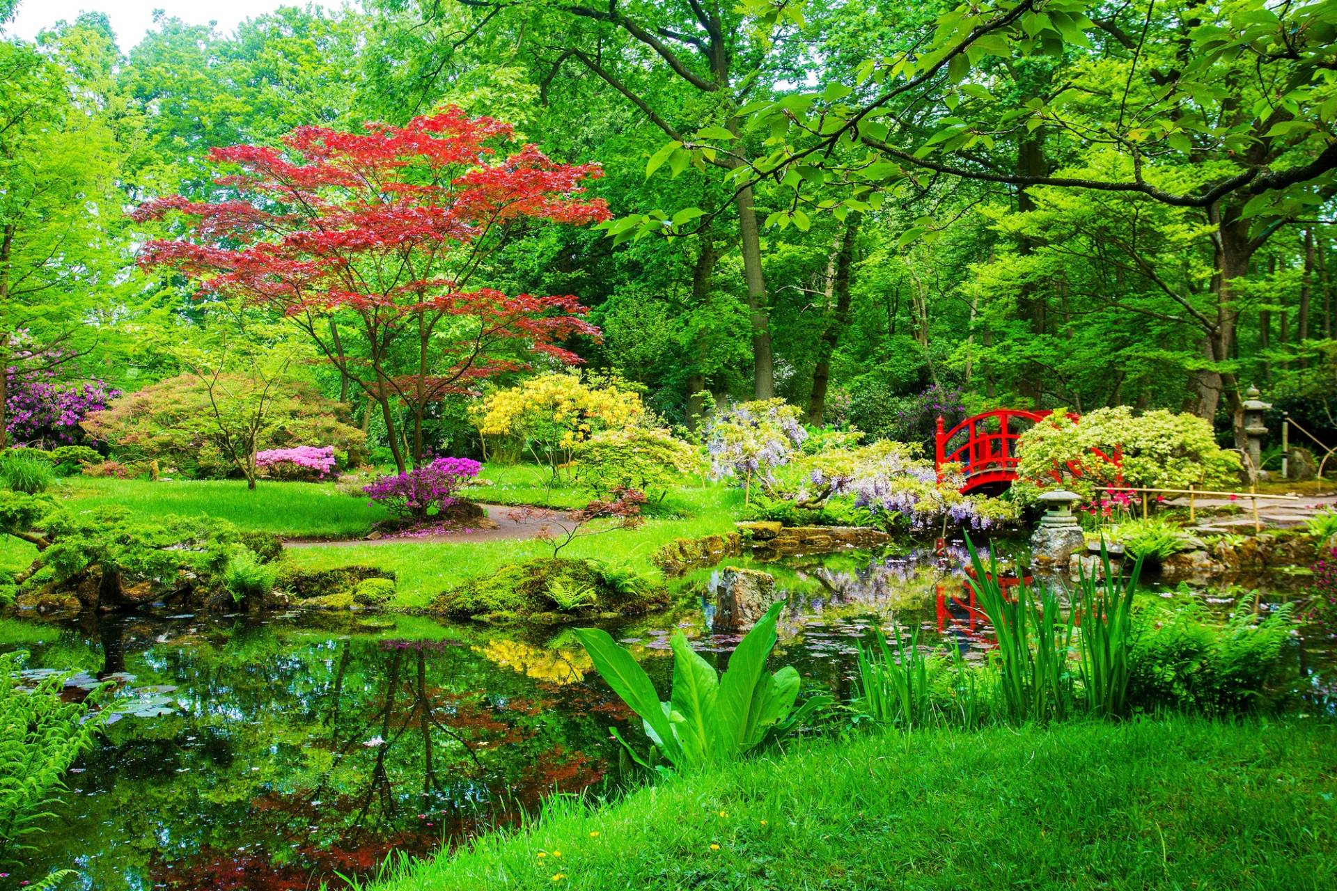 Papermoon Fototapete »GARTEN-BLUMEN BÄUME PFLANZEN STEINE WALD PARK BLÜTEN« von Papermoon