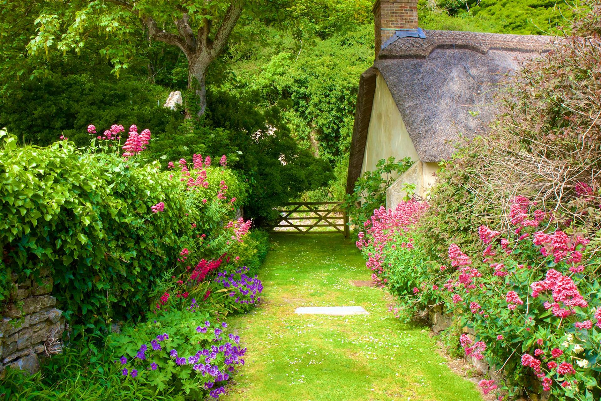 Papermoon Fototapete »GARTEN-BLUMEN BÄUME PFLANZEN STEINE WALD PERGOLA BLÜTEN« von Papermoon