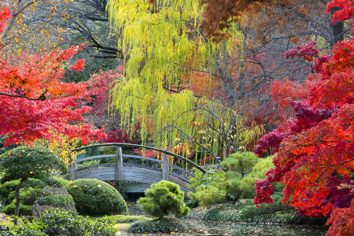 Papermoon Fototapete »GARTEN-NATUR WALD BÄUME HERBSTLANDSCHAFT BLUMEN SEE XXL« von Papermoon