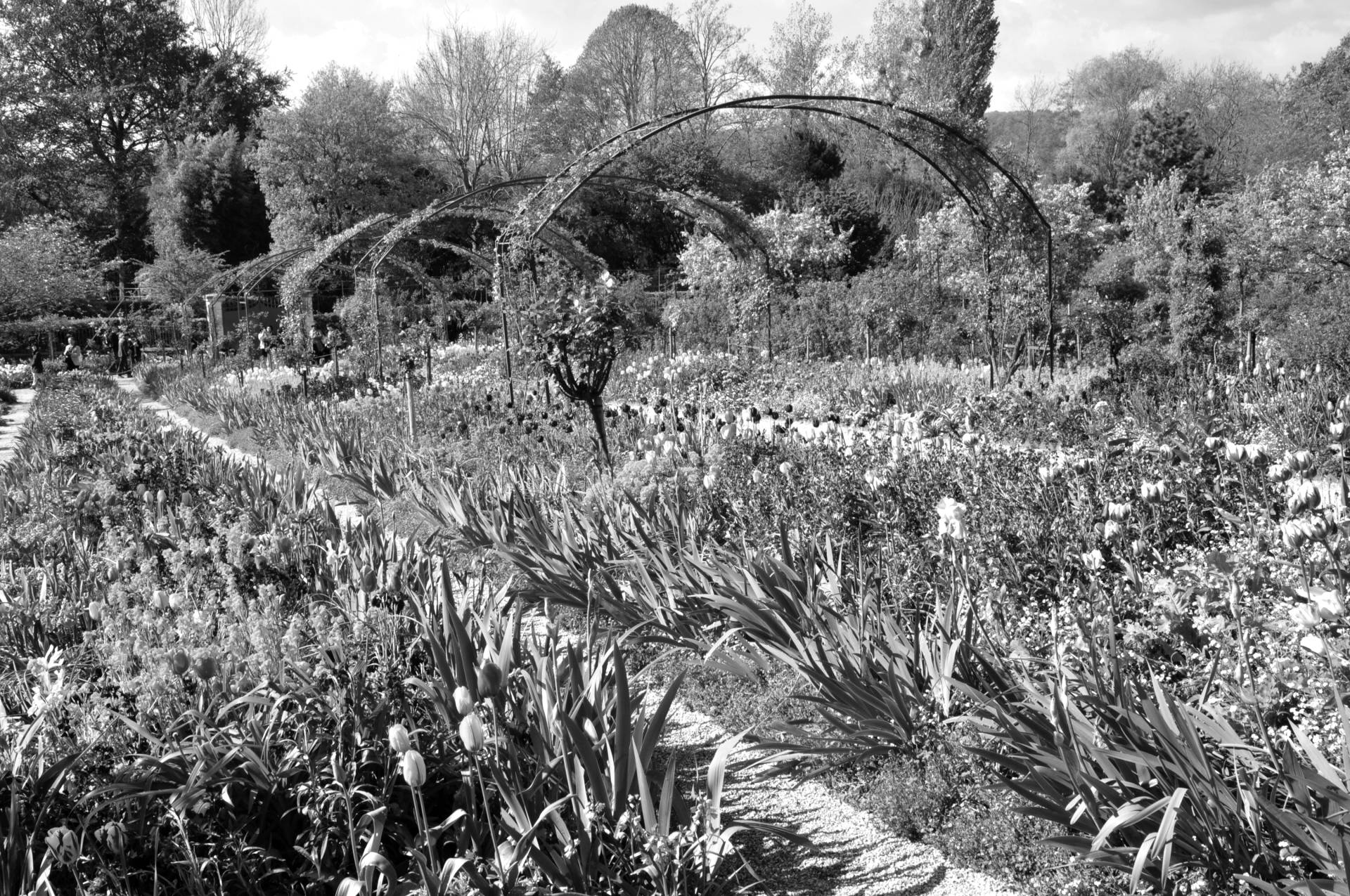 Papermoon Fototapete »Garten Schwarz & Weiss« von Papermoon