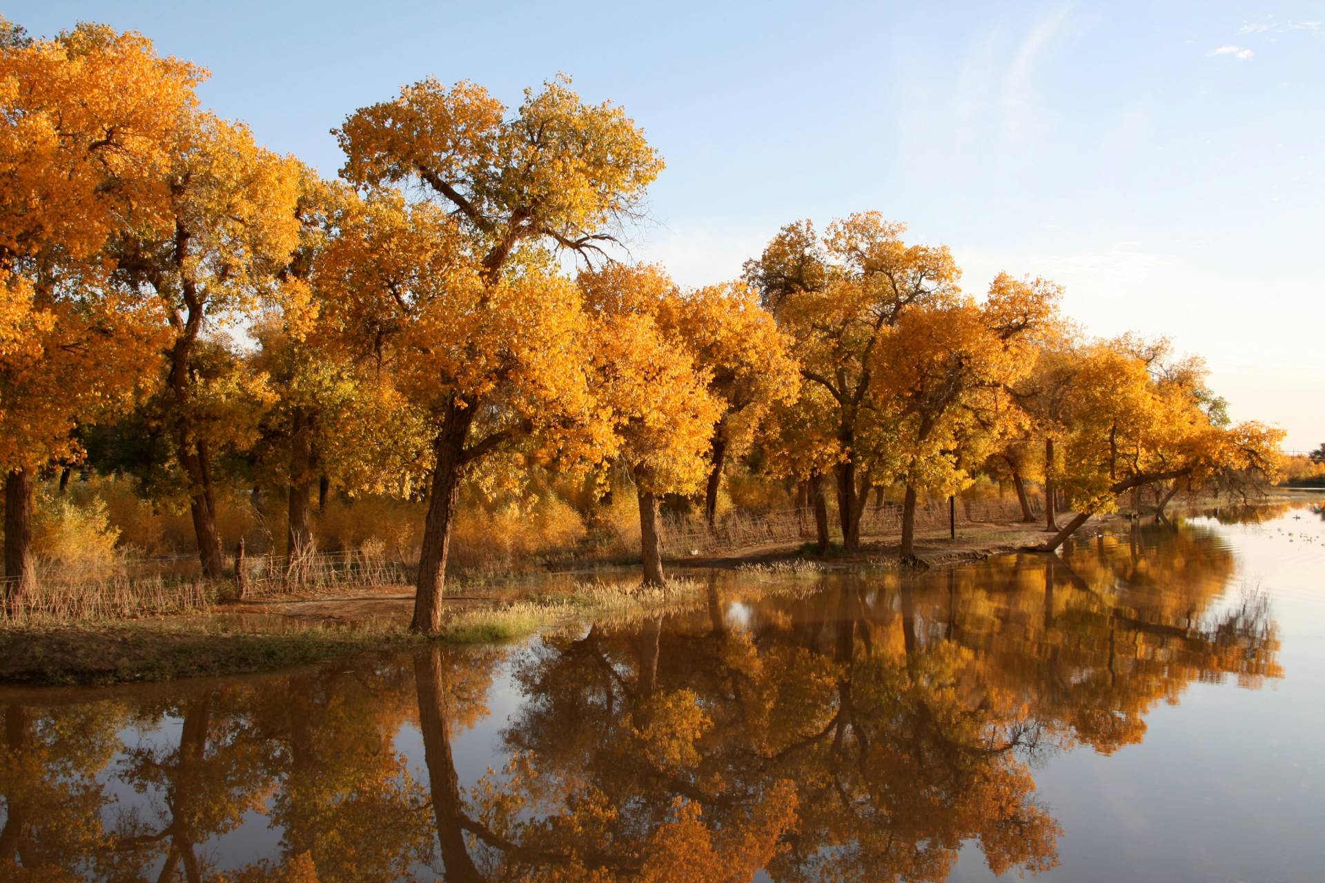 Papermoon Fototapete »HERBST LANDSCHAFT-CHINA SEE WALD BÄUME STRAND SONNE« von Papermoon