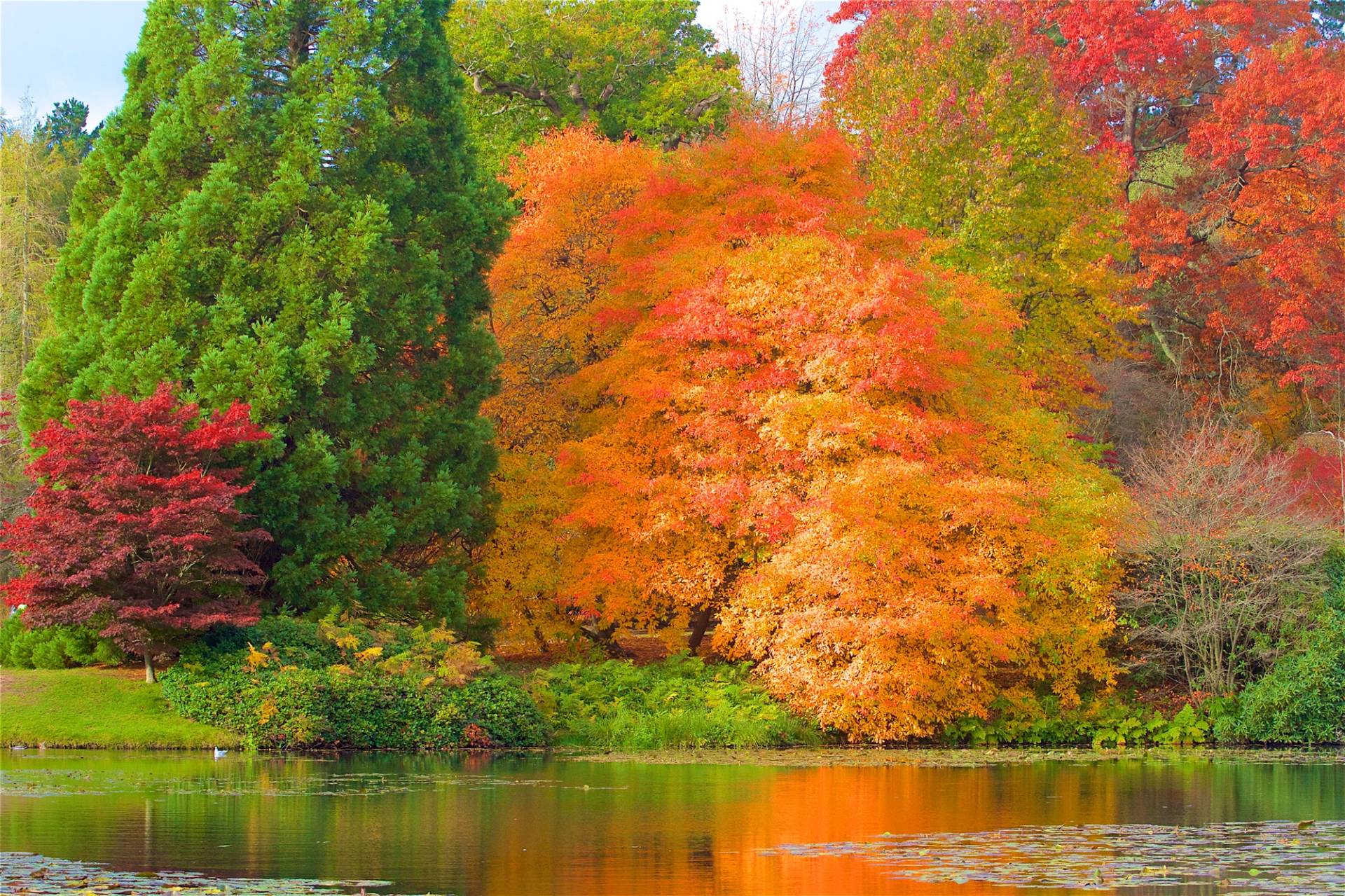 Papermoon Fototapete »HERBST-WALD-BAUM FLUSS BLUMEN NATUR PFLANZE SONNE WIESE« von Papermoon