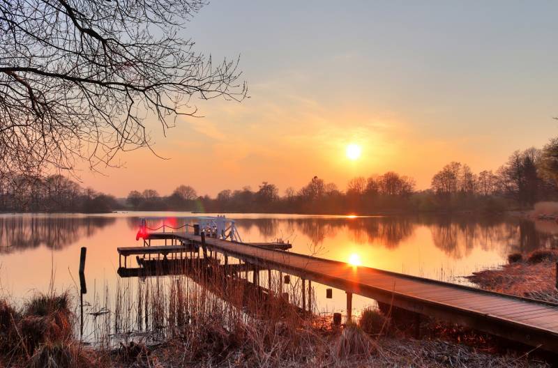 Papermoon Fototapete »HOLZ-BRÜCKE-PIER STEG SEE STRAND WALD SONNENUNTERGANG« von Papermoon