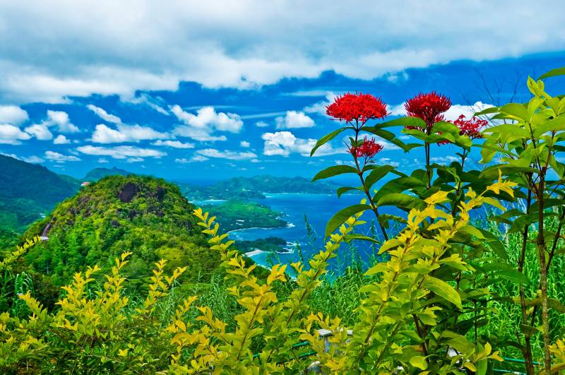 Papermoon Fototapete »INSEL-SEYCHELLEN BLUMEN KÜSTE GEBIRGE MEER PANORAMA« von Papermoon