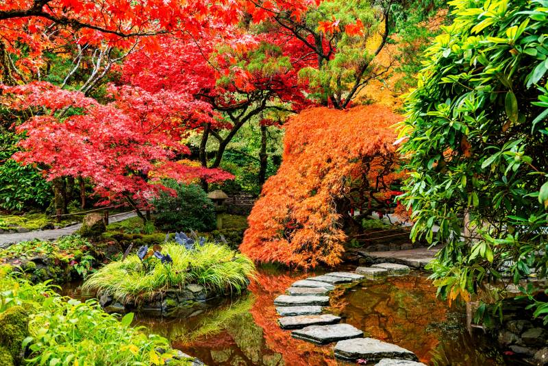 Papermoon Fototapete »JAPANISCHER GARTEN-BLUMEN BÄUME SEE NATUR HERBST WALD« von Papermoon