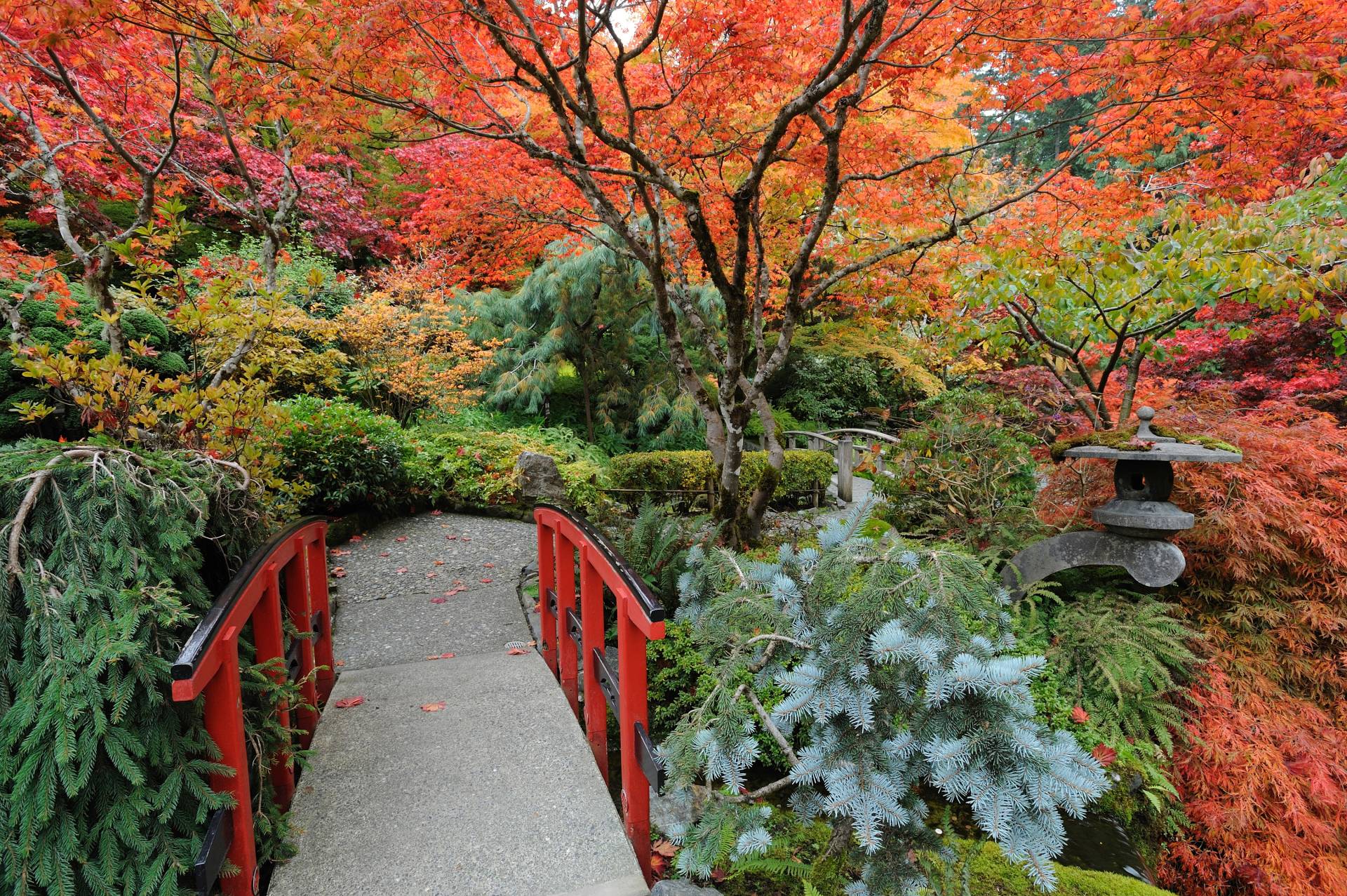 Papermoon Fototapete »JAPANISCHER GARTEN HERBST« von Papermoon