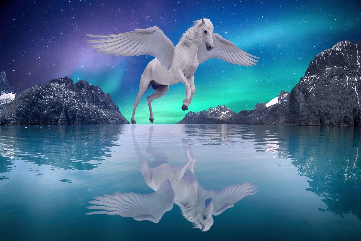 Papermoon Fototapete »Kind mit Hund« von Papermoon