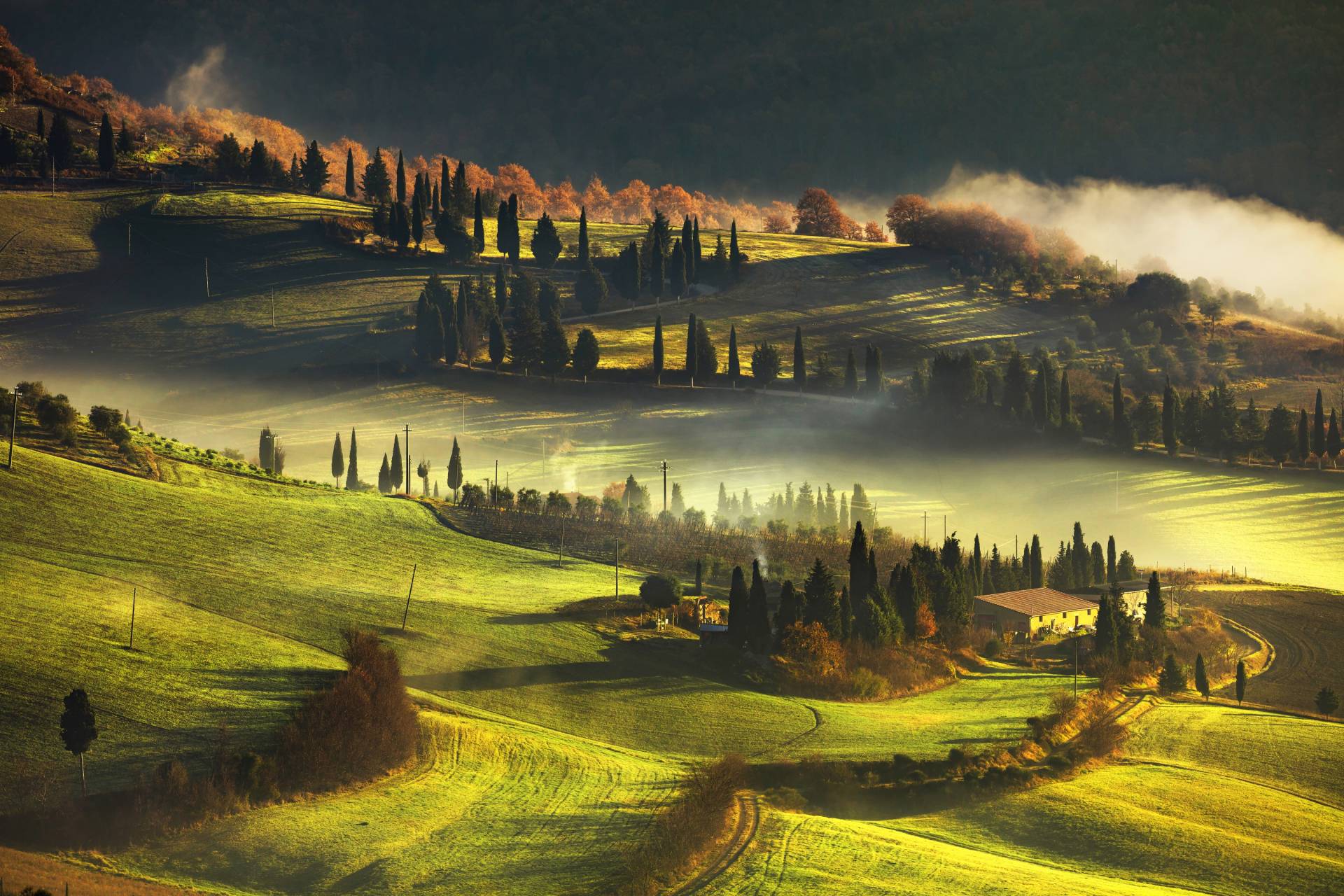 Papermoon Fototapete »LANDSCHAFT-HERBST NATUR BÄUME WALD BERGE GEBIRGE ALPEN« von Papermoon