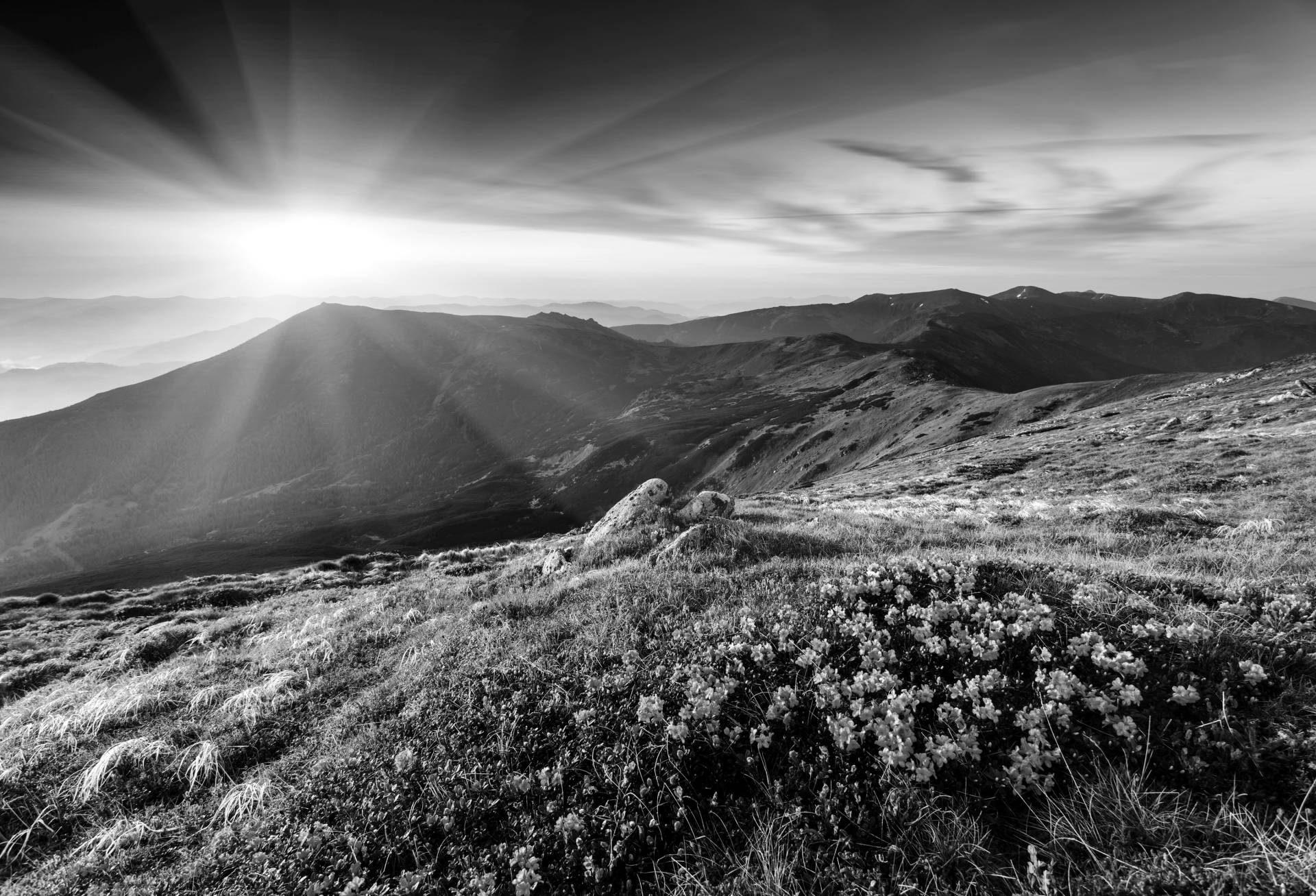 Papermoon Fototapete »Landschaft Schwarz & Weiss« von Papermoon