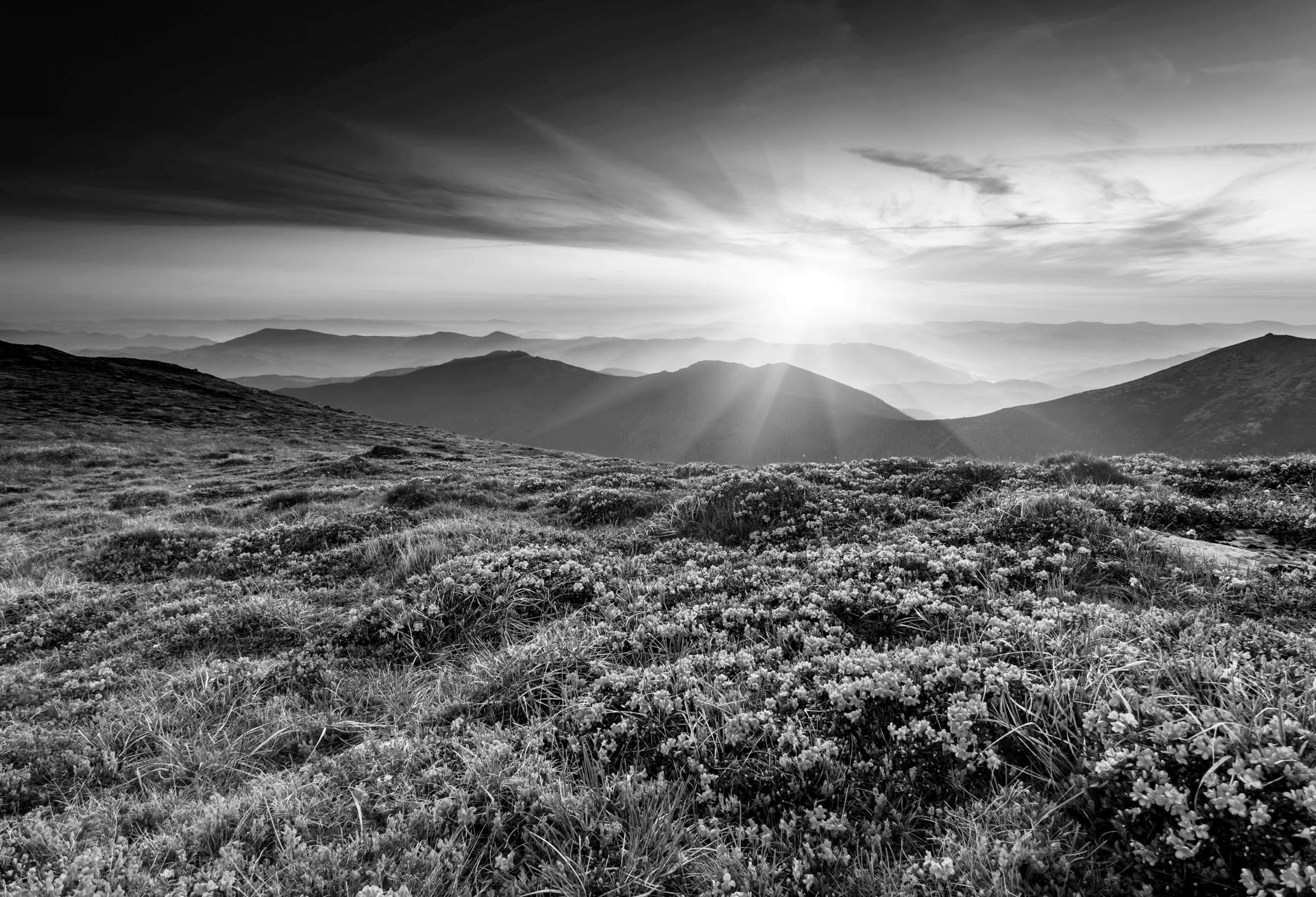 Papermoon Fototapete »Landschaft Schwarz & Weiss« von Papermoon