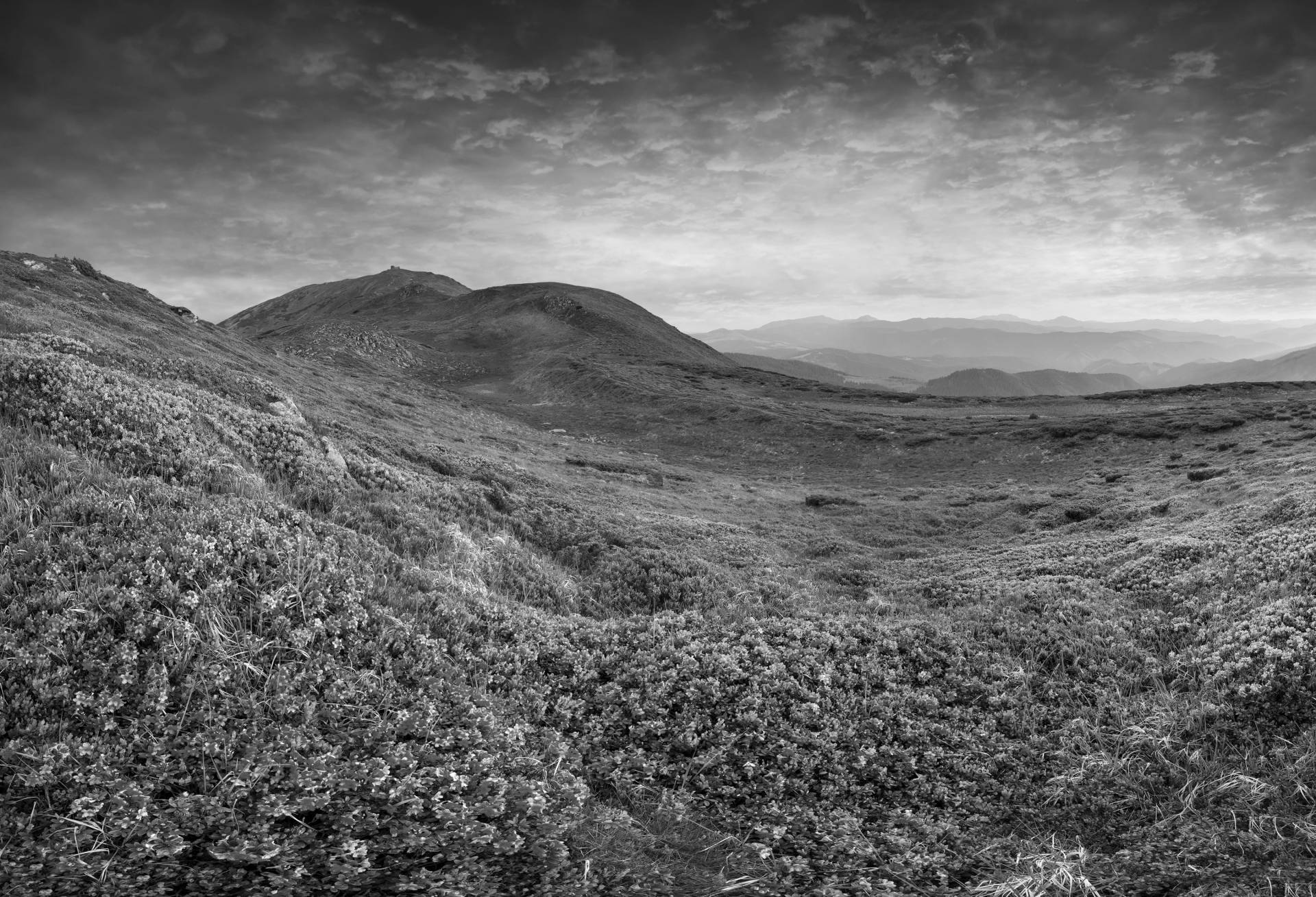 Papermoon Fototapete »Landschaft Schwarz & Weiss« von Papermoon