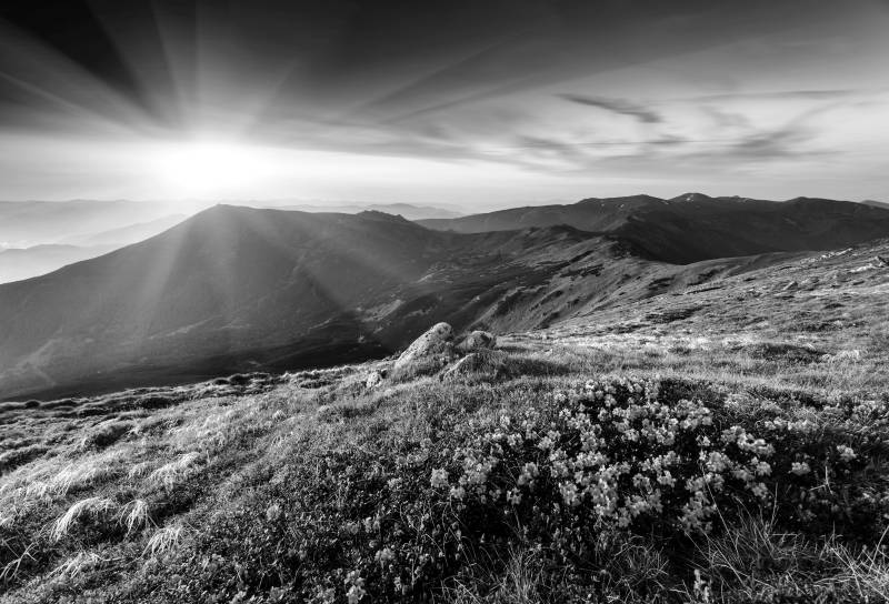 Papermoon Fototapete »Landschaft Schwarz & Weiss« von Papermoon