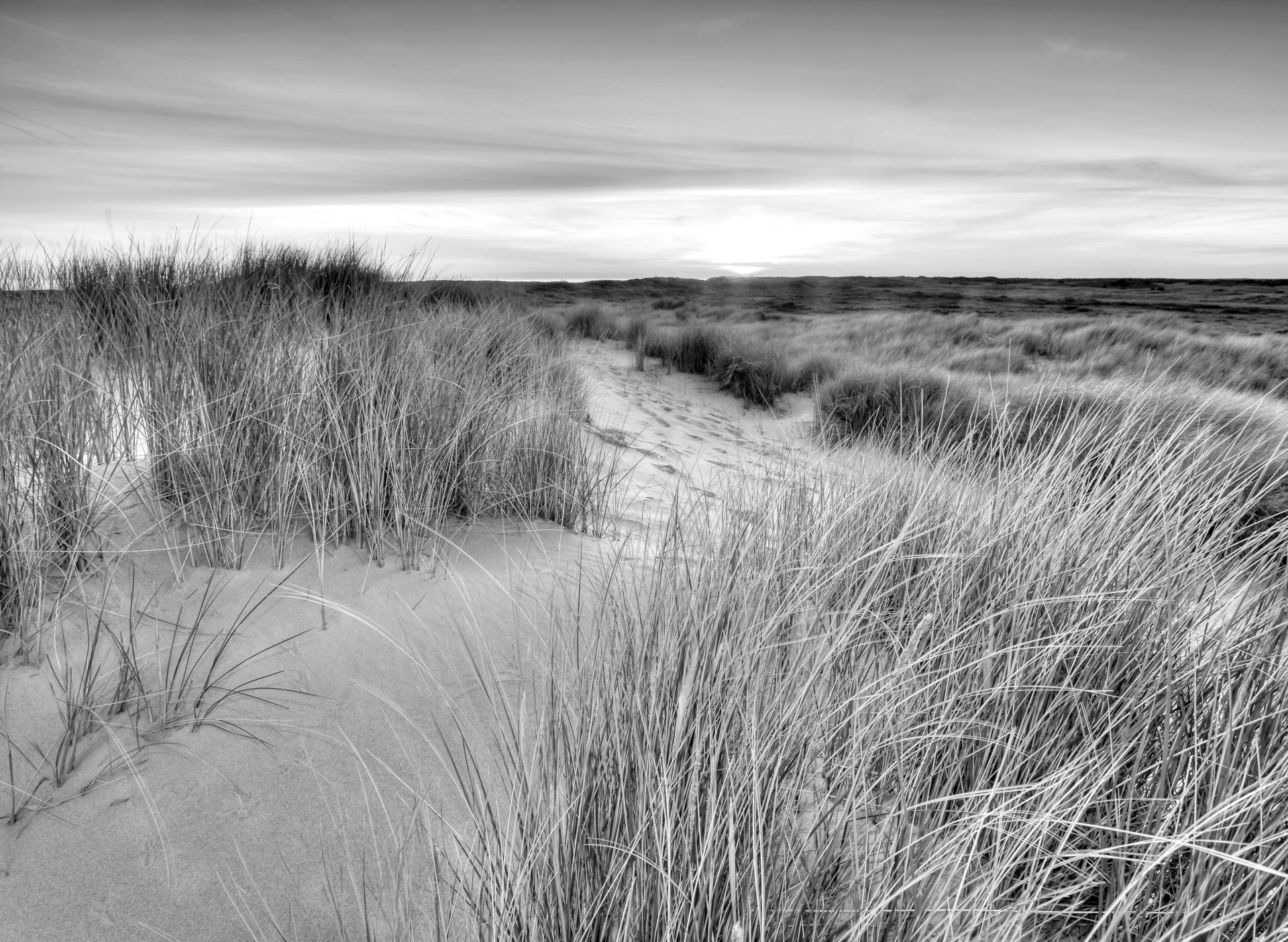 Papermoon Fototapete »Landschaft schwarz & weiss« von Papermoon