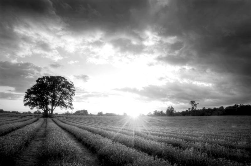 Papermoon Fototapete »Landschaft schwarz & weiss« von Papermoon