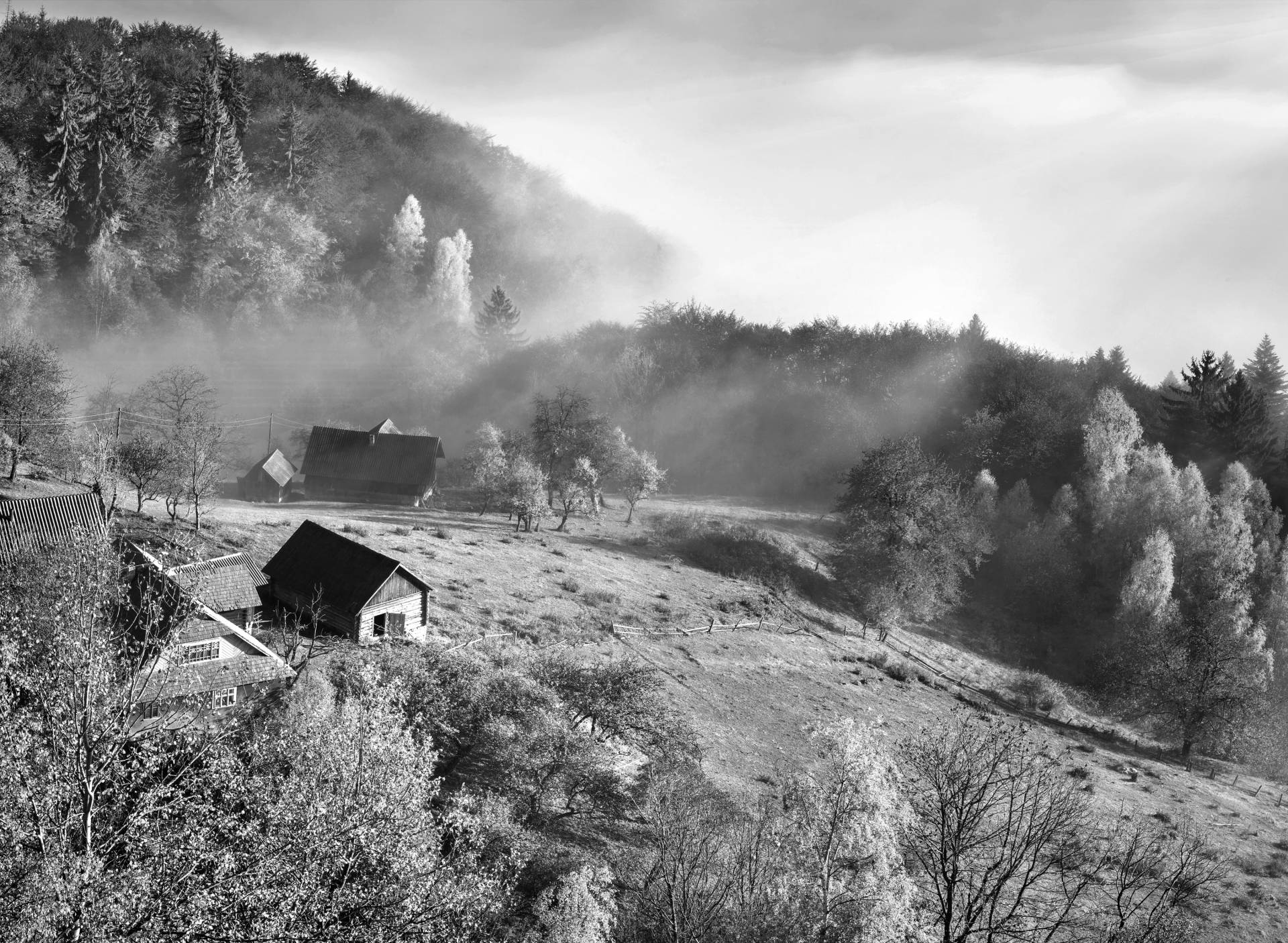 Papermoon Fototapete »Landschaft schwarz & weiss« von Papermoon