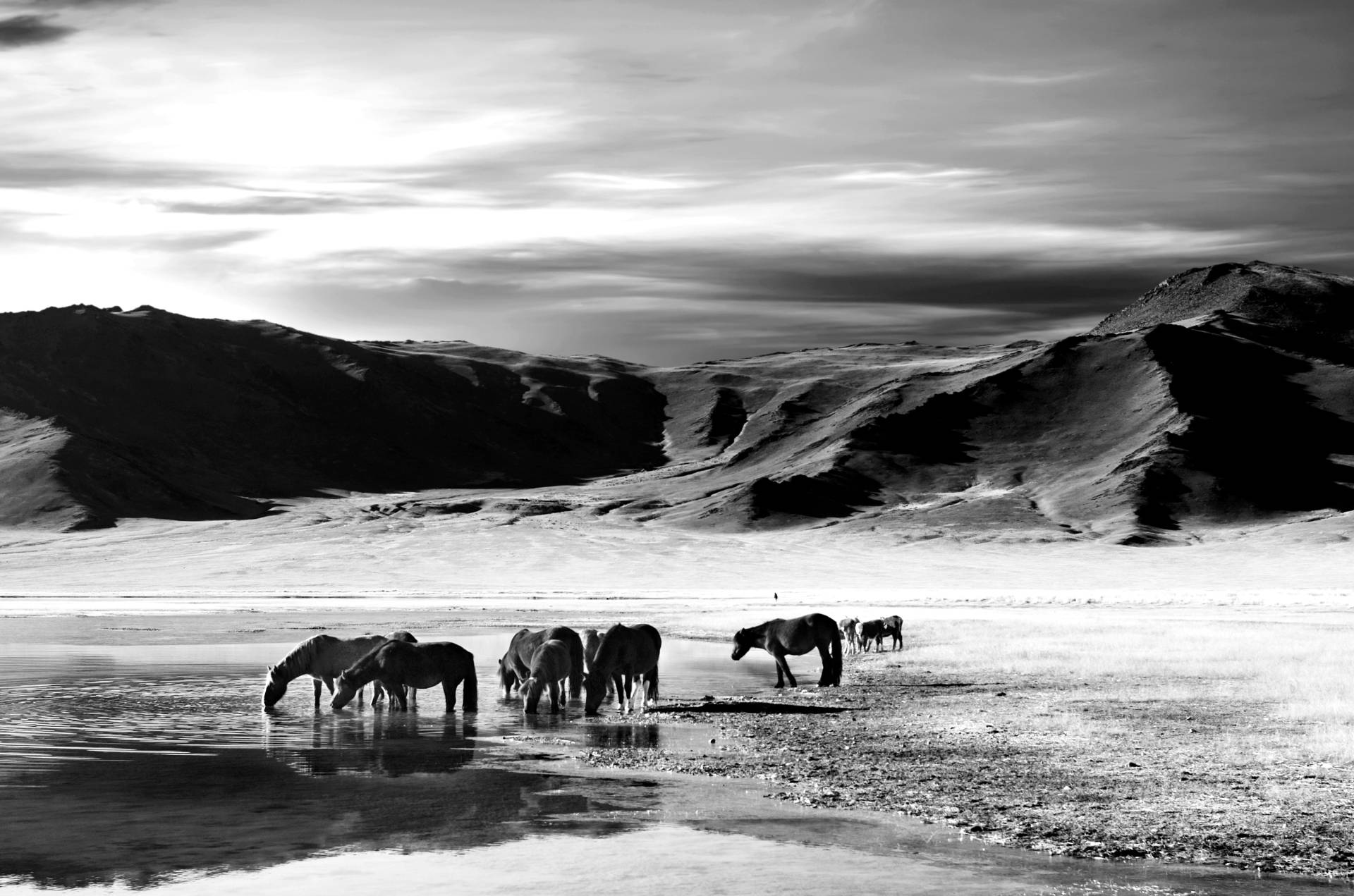 Papermoon Fototapete »Landschaft schwarz & weiss« von Papermoon