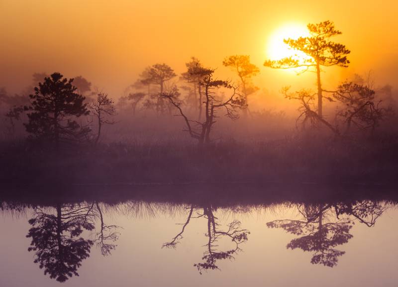 Papermoon Fototapete »Misty Morning Scenery« von Papermoon