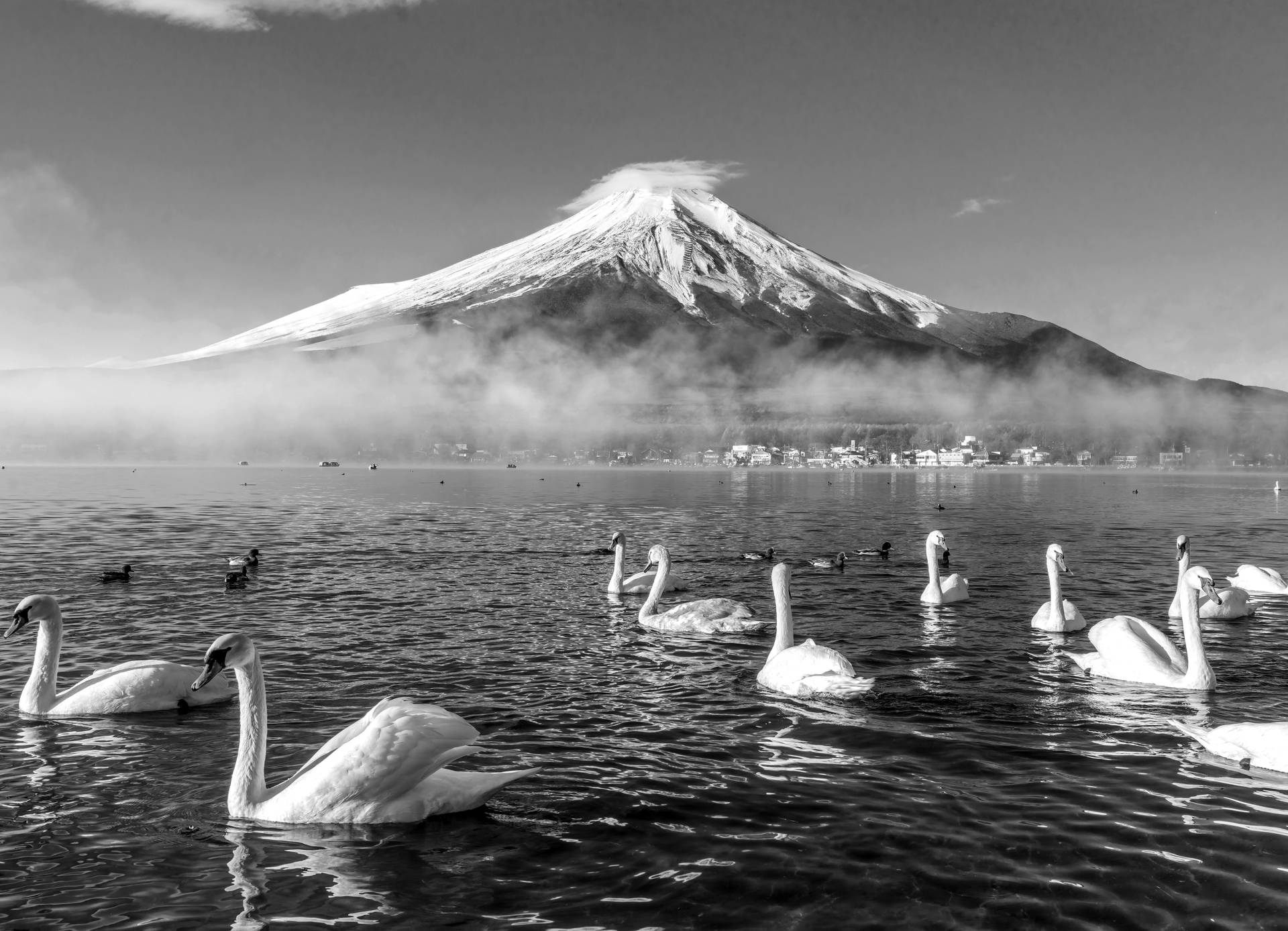 Papermoon Fototapete »Mount Fuji mit Schwänen Schwarz & Weiss« von Papermoon