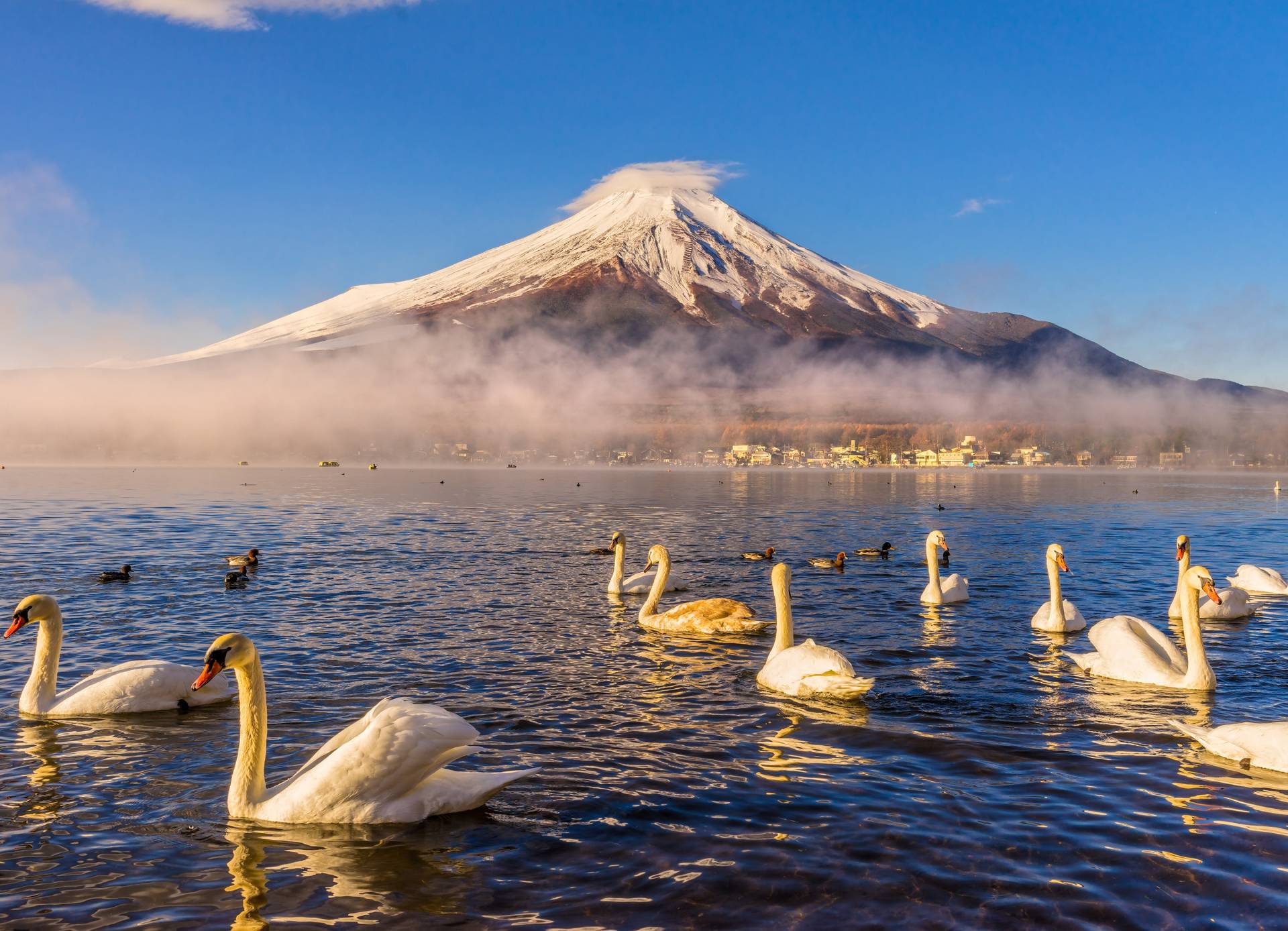 Papermoon Fototapete »Mount Fuji« von Papermoon