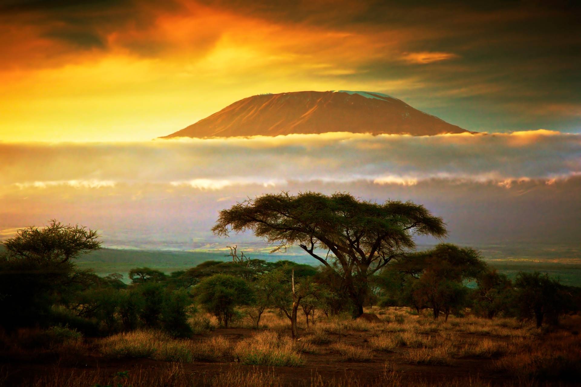 Papermoon Fototapete »Mount Kilimanjaro and Clouds« von Papermoon