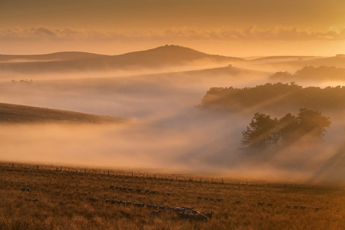 Papermoon Fototapete »Nebel in Landschaft« von Papermoon