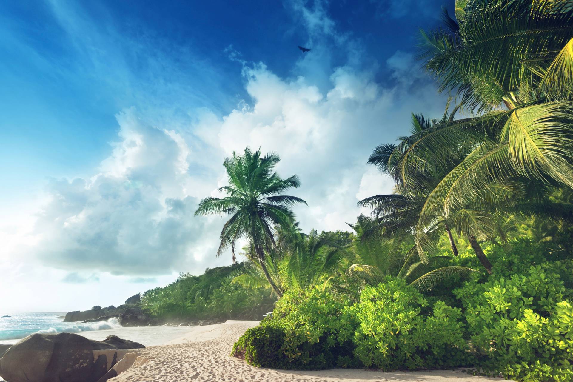 Papermoon Fototapete »PALMEN-STRAND-SEYCHELLEN TROPISCH INSEL AFRIKA KÜSTE« von Papermoon