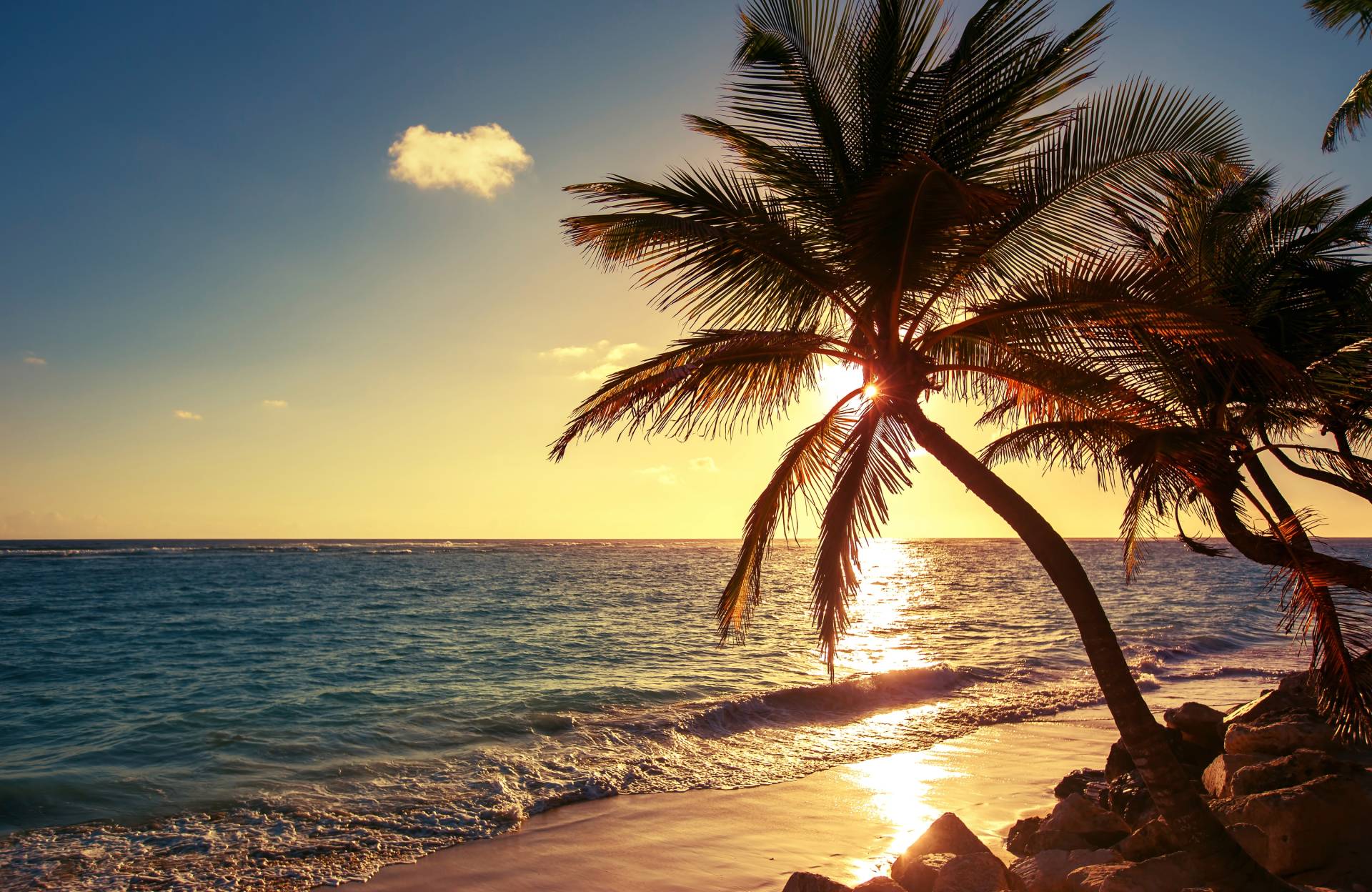 Papermoon Fototapete »PALMEN-STRAND SONNENUNTERGANG NATUR MEER LANDSCHAFT XXL« von Papermoon