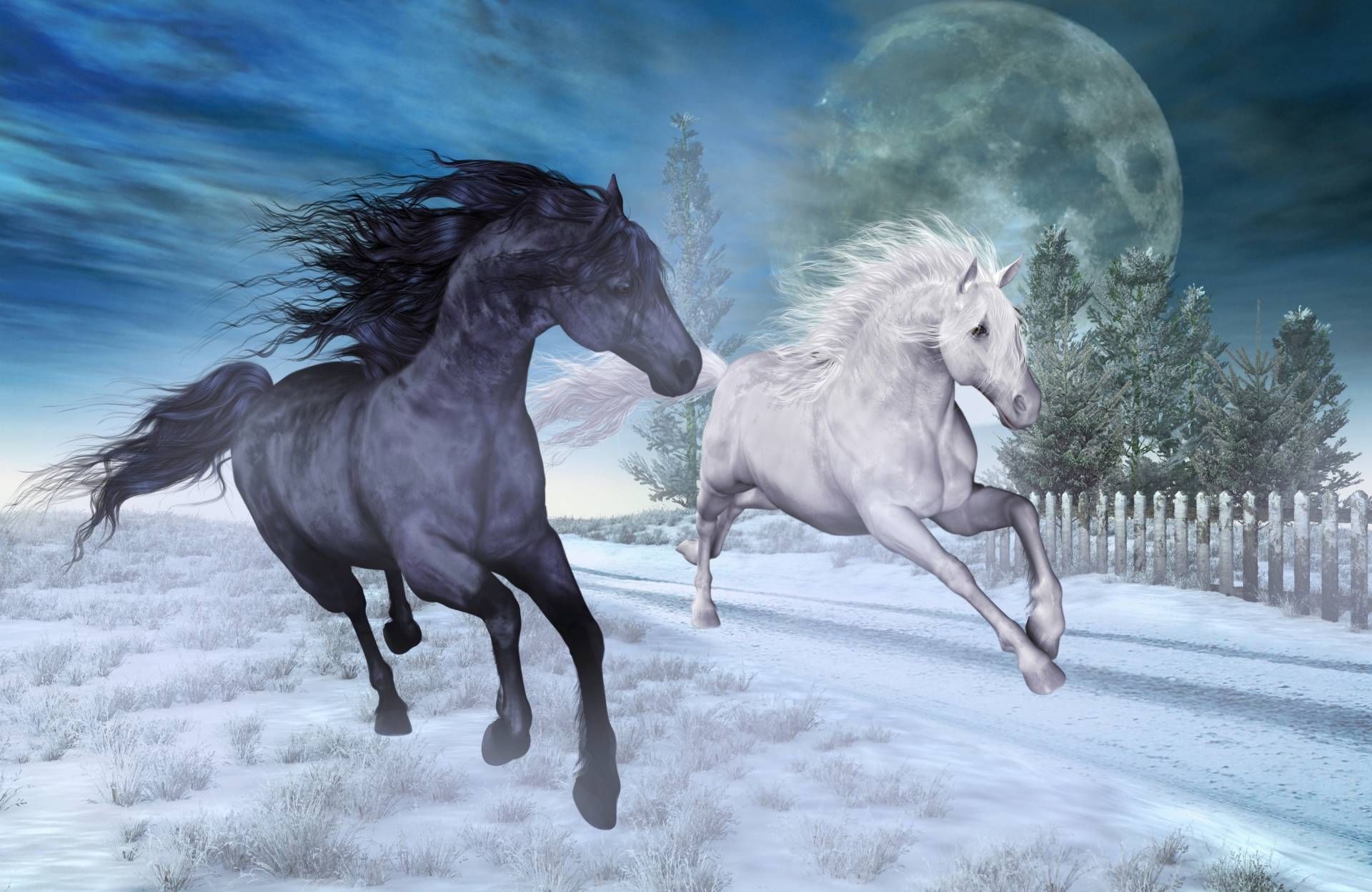 Papermoon Fototapete »PFERDE-NATUR MOND TIERE PONY BÄUME PFERD WANDBILD DEKO« von Papermoon