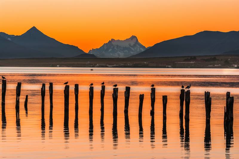 Papermoon Fototapete »PUERTO NATALES-CHILE SEE GEBIRGE BLUMEN SONNE WALD STEG« von Papermoon