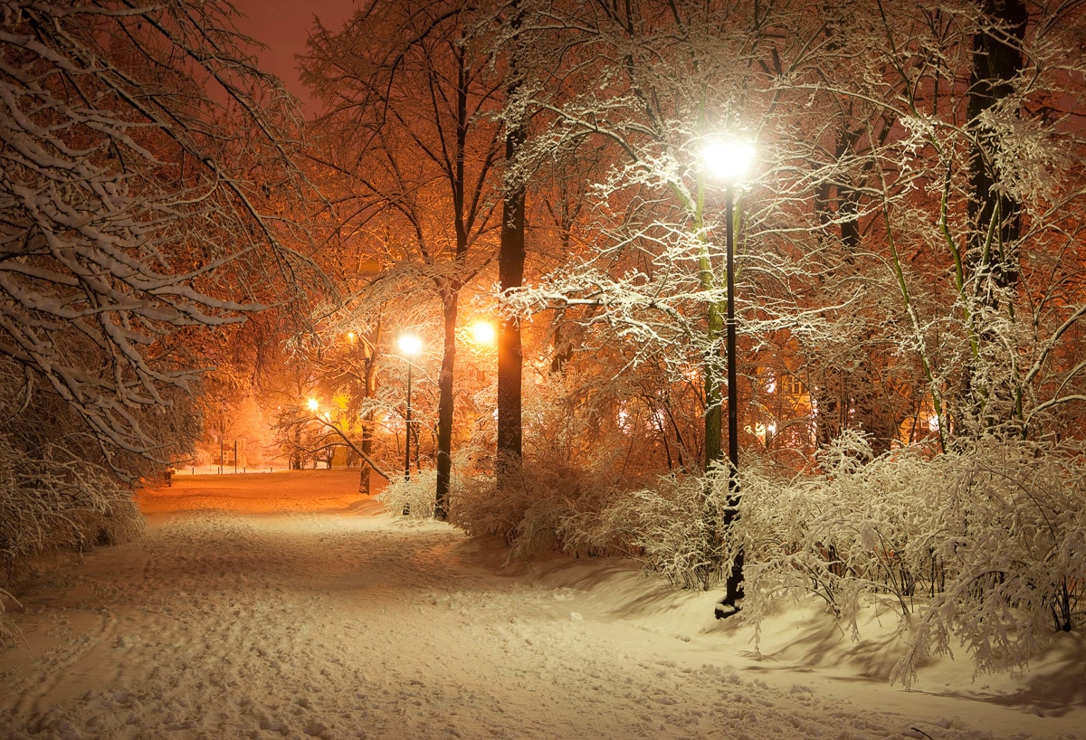 Papermoon Fototapete »Park im Winter« von Papermoon