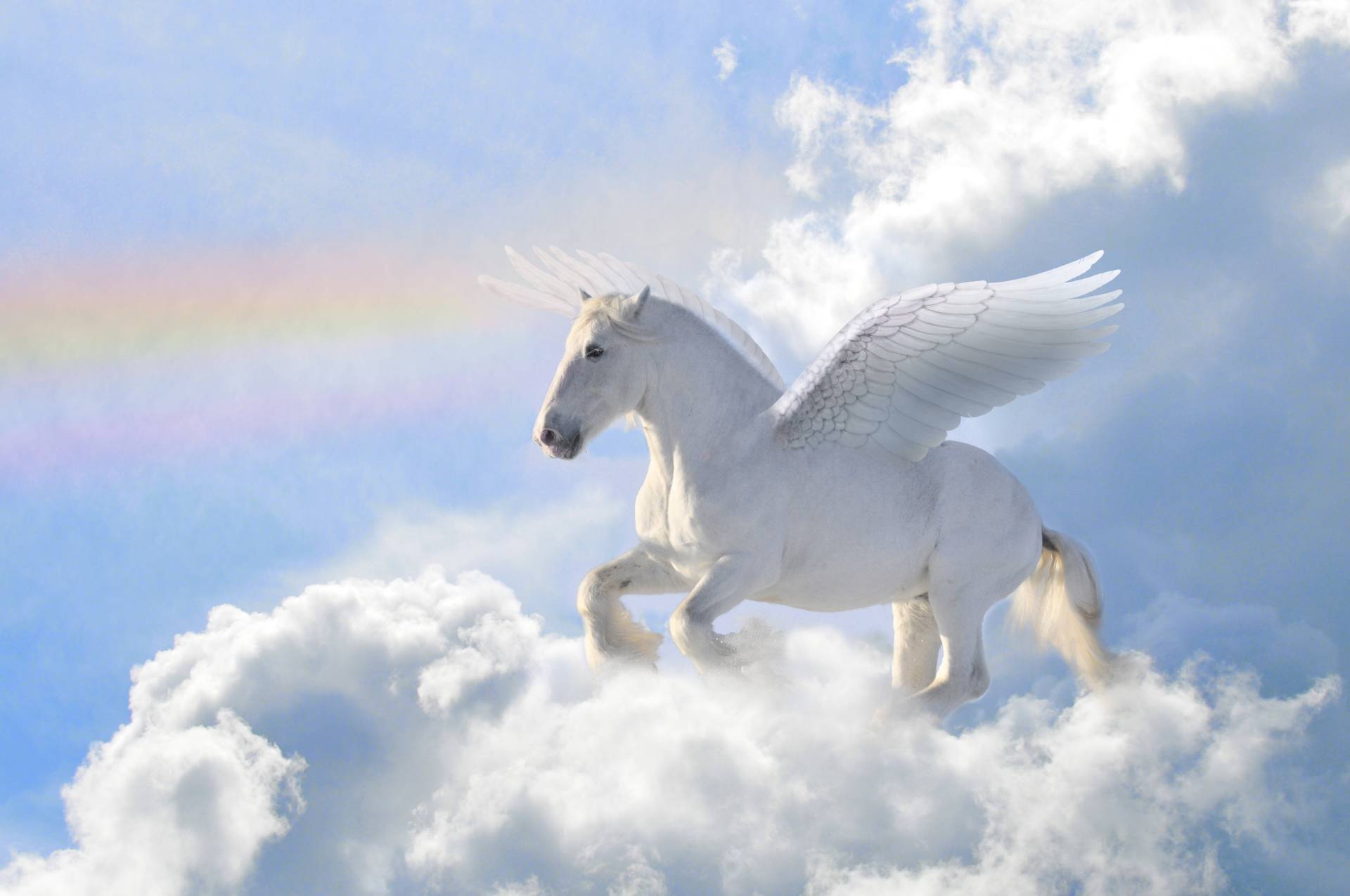 Papermoon Fototapete »Pegasus in the Clouds« Papermoon Fototapete »Pegasus in the Clouds« von Papermoon