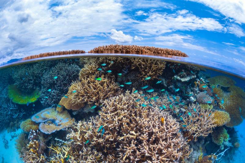 Papermoon Fototapete »Photo-Art BARATHIEU GABRIEL, SPLIT-LEVEL VON MAYOTTE REEF« von Papermoon