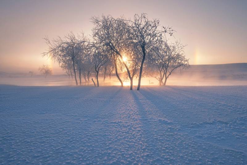 Papermoon Fototapete »Photo-Art BINGO Z, SCHNEELANDSCHAFT IM WINTER« von Papermoon