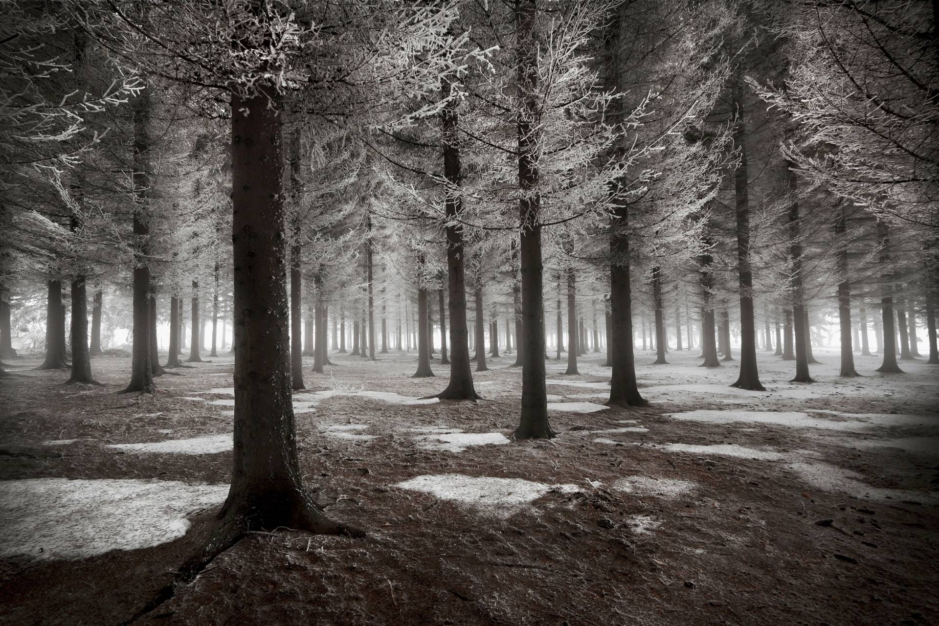 Papermoon Fototapete »Photo-Art DRAGISA PETROVIC, DER BEGINN DES WINTERS« von Papermoon