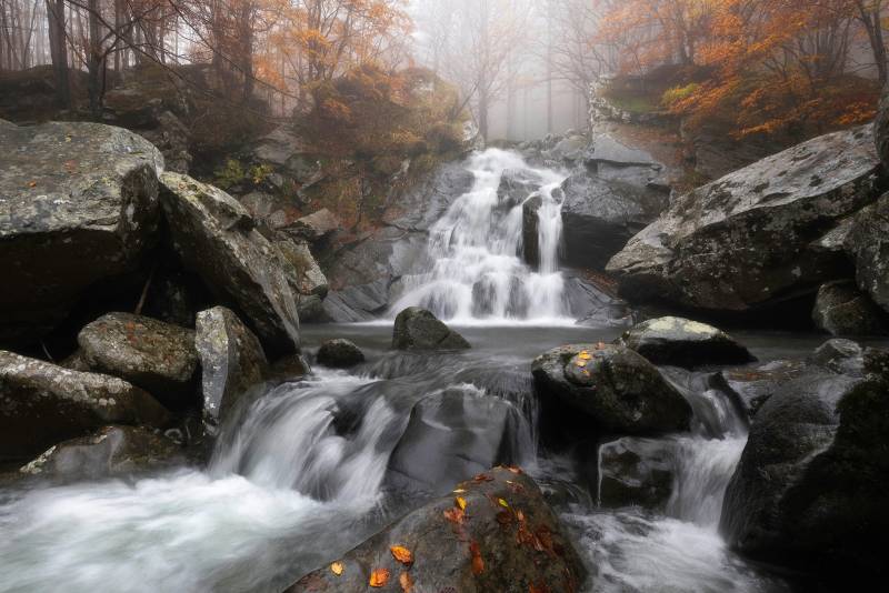 Papermoon Fototapete »Photo-Art FRANCESCO TAVANI, HERBSTNEBEL« von Papermoon