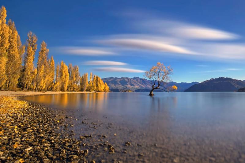 Papermoon Fototapete »Photo-Art HUA ZHU, HERBST IM SEE WANAKA« von Papermoon