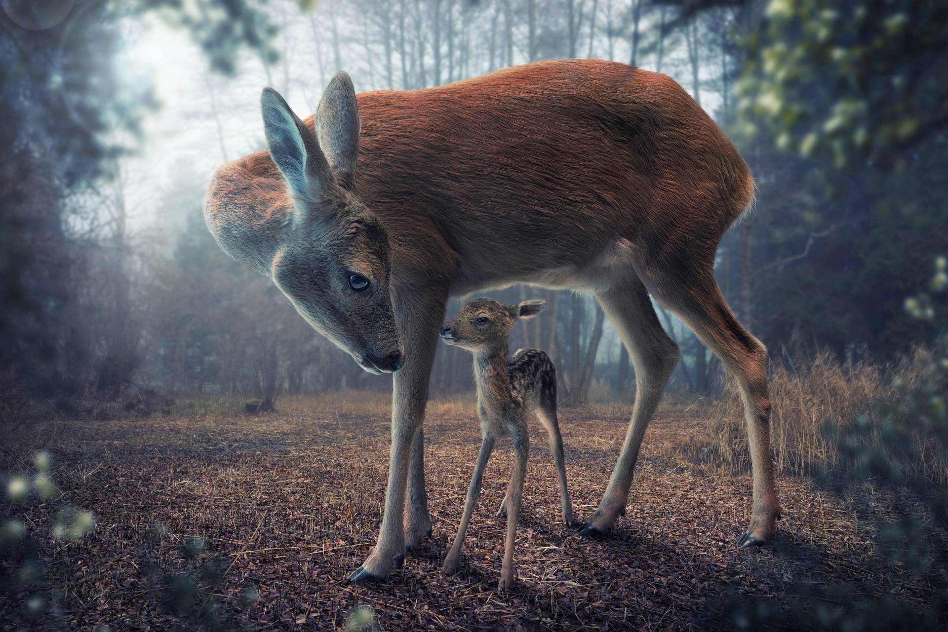 Papermoon Fototapete »Photo-Art JOHN WILHELM, MUTTER UND KITZ« von Papermoon