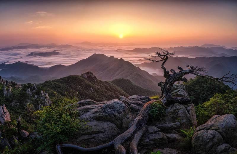 Papermoon Fototapete »Photo-Art TIGER SEO, SONNENAUFGANG AUF DER SPITZE« von Papermoon