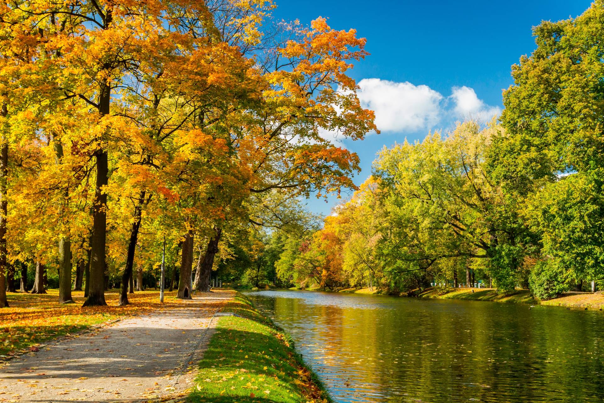 Papermoon Fototapete »River in Autumn Park« von Papermoon