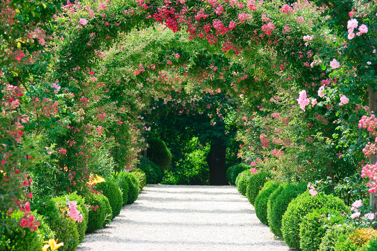 Papermoon Fototapete »Rose Arch Garden« von Papermoon