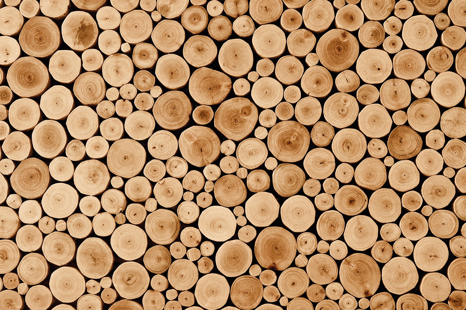 Papermoon Fototapete »Round Teak Wood« von Papermoon