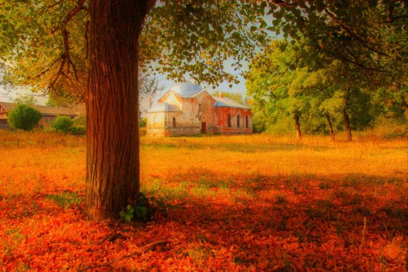 Papermoon Fototapete »Herbstlandschaft« von Papermoon