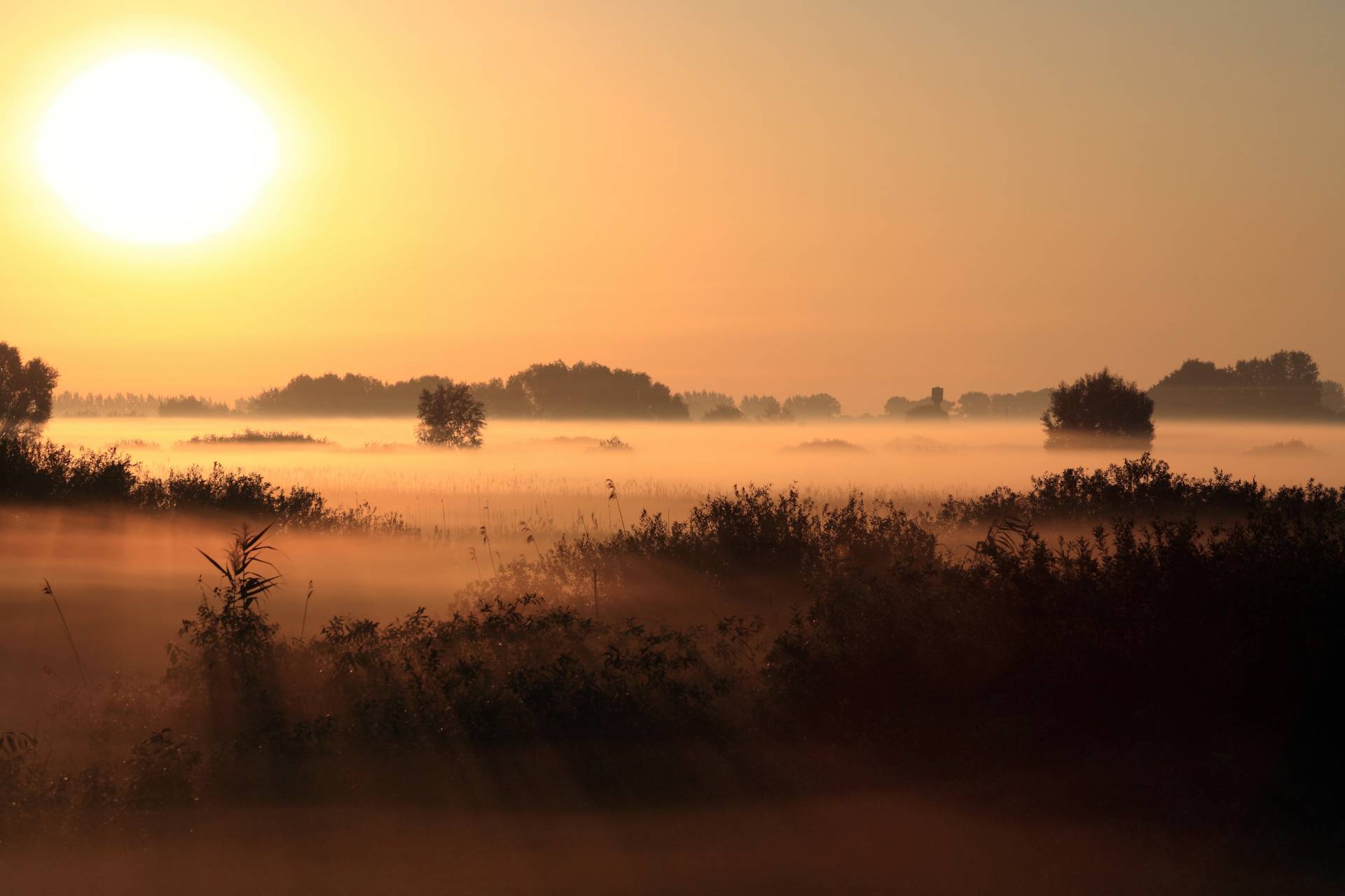 Papermoon Fototapete »SONNENUNTERGANG NEBEL LANDSCHAFT« von Papermoon