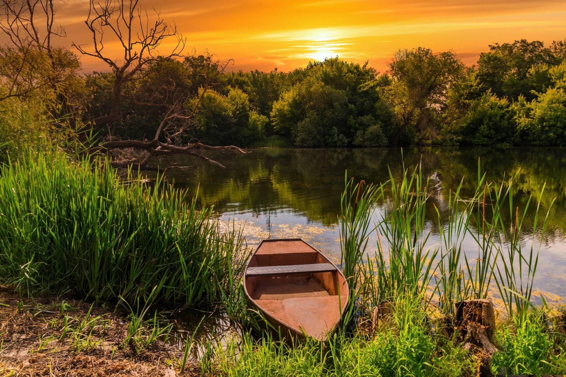 Papermoon Fototapete »STRAND-SEE BOOT WALD SONNENUNTERGANG BÄUME FLUSS IDYLLE« von Papermoon