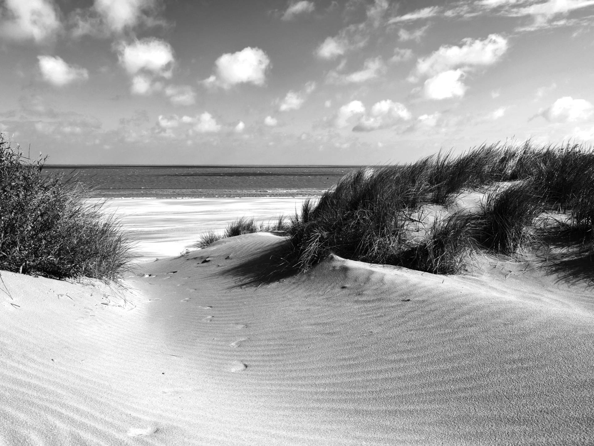 Papermoon Fototapete »Strand Schwarz & Weiss« von Papermoon