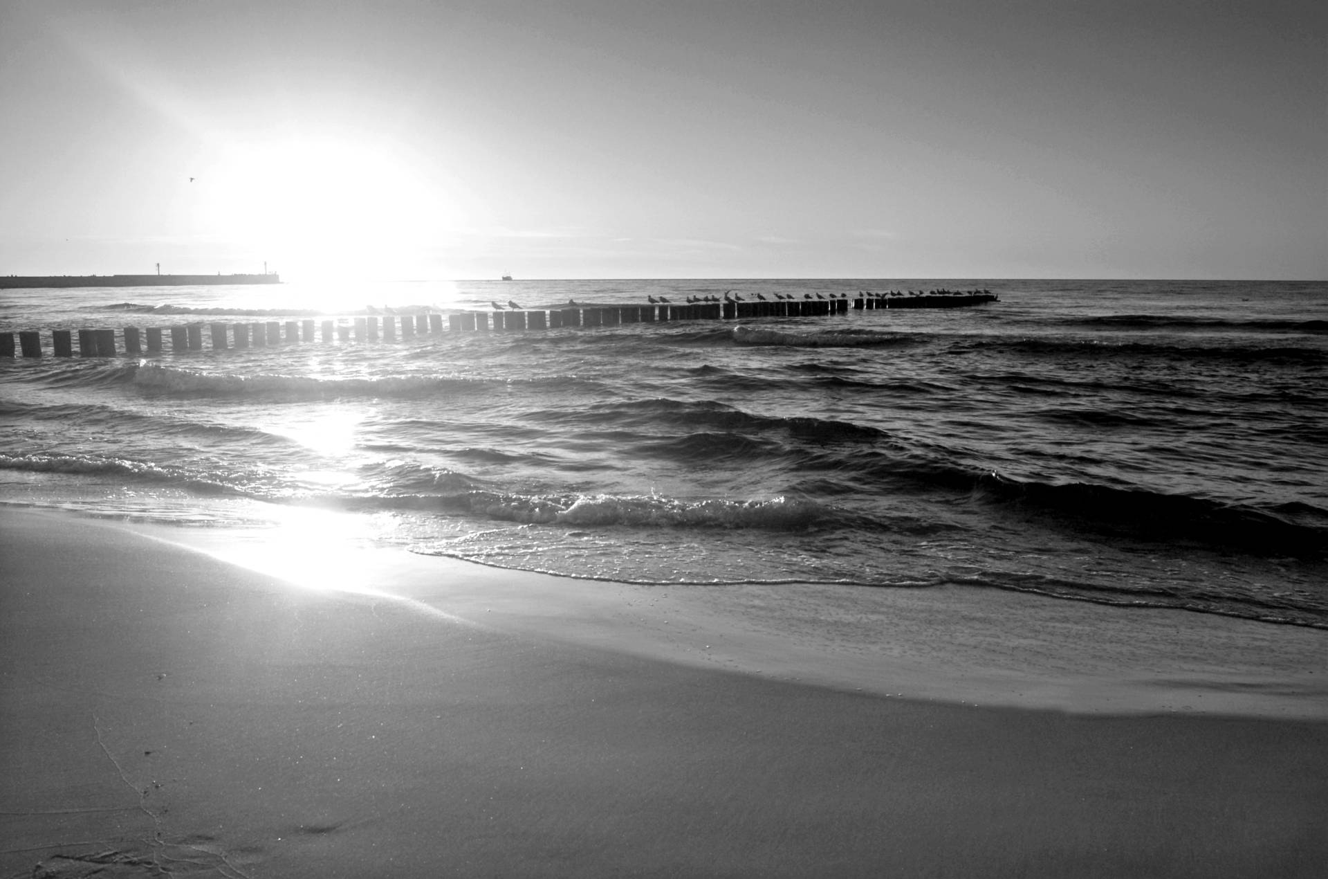 Papermoon Fototapete »Strand schwarz & weiss« von Papermoon